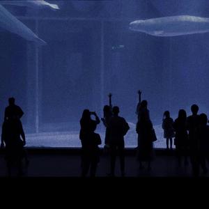 抹茶软件看女生全身隐私
